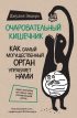 Очаровательный кишечник. Как самый могущественный орган управляет нами