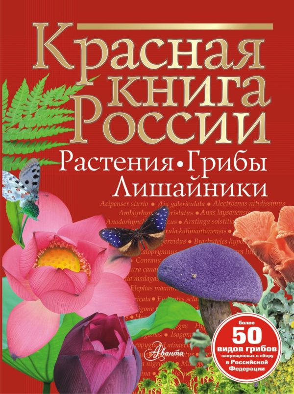 Красная книга России. Растения